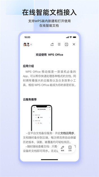 wpsoffice׿°