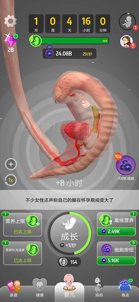 ʷڹ޽